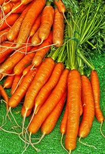 carota