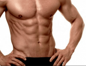 muscoli addominali